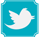 Link to Twitter